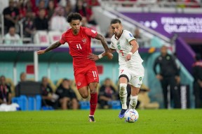 阿扎伦卡新星险胜表现突出，加拿大队前途光明！的简单介绍